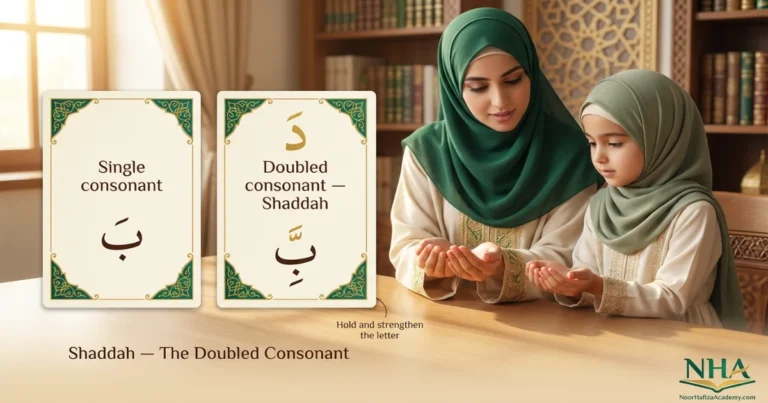 Sukoon explained for Quran beginners with consonant stopping and blending examples