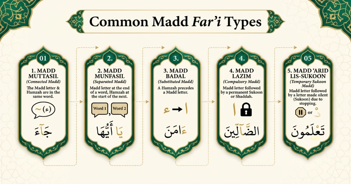 Common Madd Far'i types including Muttasil Munfasil Lazim Arid and Badal