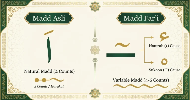 Madd Asli vs Madd Far'i in Tajweed explained with natural Madd and secondary Madd examples