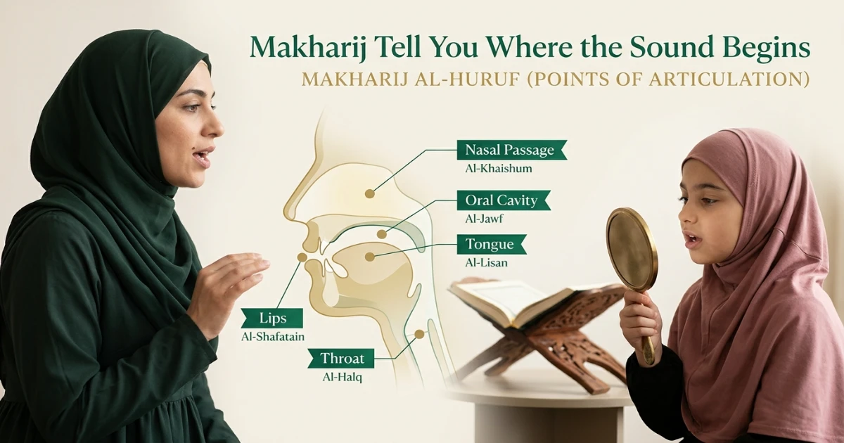 Makharij al Huruf articulation points of Arabic letters in the mouth throat tongue lips and nasal passage