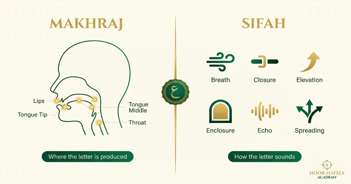 Sifaat without opposites including Safir Qalqalah Leen Inhiraf Takrir Tafashshi and Istitalah