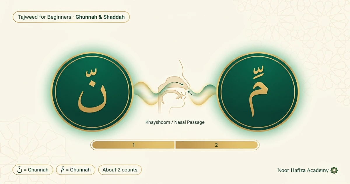 Noon and Meem Mushaddad rules in Tajweed explained with Ghunnah and two-count timing