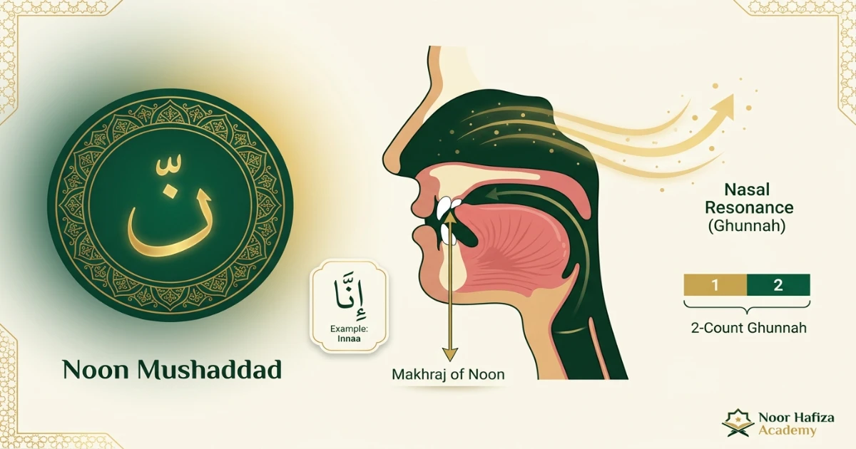 Noon Mushaddad Tajweed rule showing Ghunnah on Noon with Shaddah